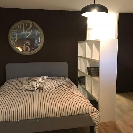 Large Studio Near Epfl And Lausanne City Center Ecublens  Dış mekan fotoğraf