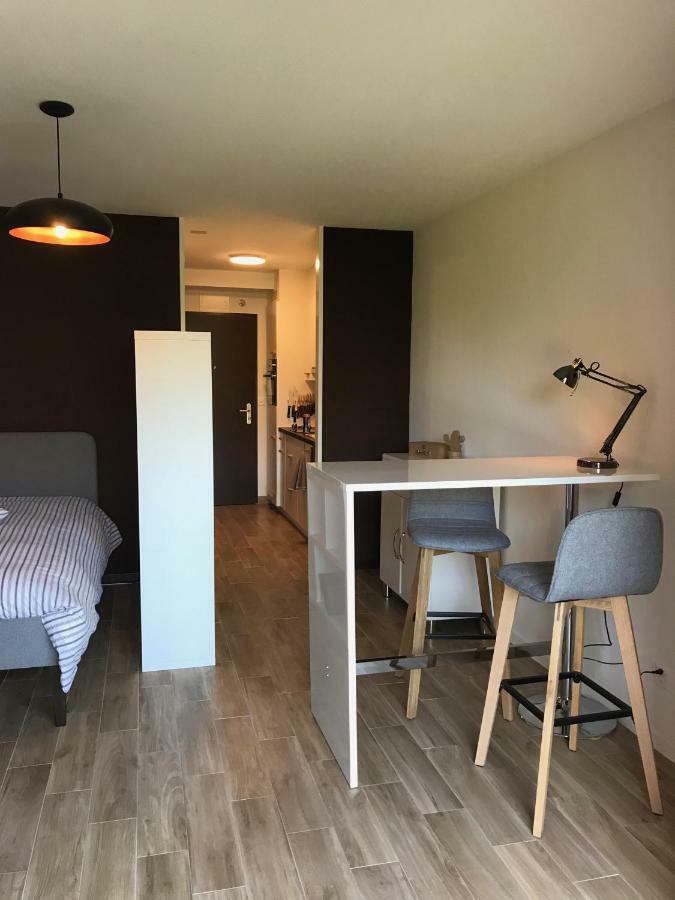 Large Studio Near Epfl And Lausanne City Center Ecublens  Dış mekan fotoğraf
