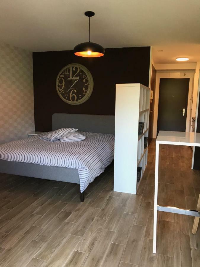 Large Studio Near Epfl And Lausanne City Center Ecublens  Dış mekan fotoğraf